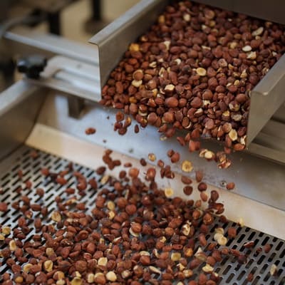 Hazelnut processing at Nuts L facility