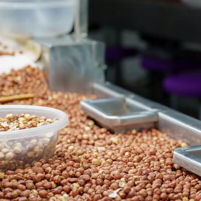 Sorting of Georgian hazelnuts at the factory